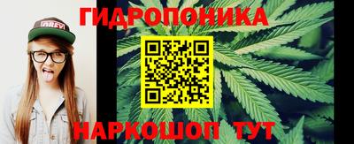амф Пенза