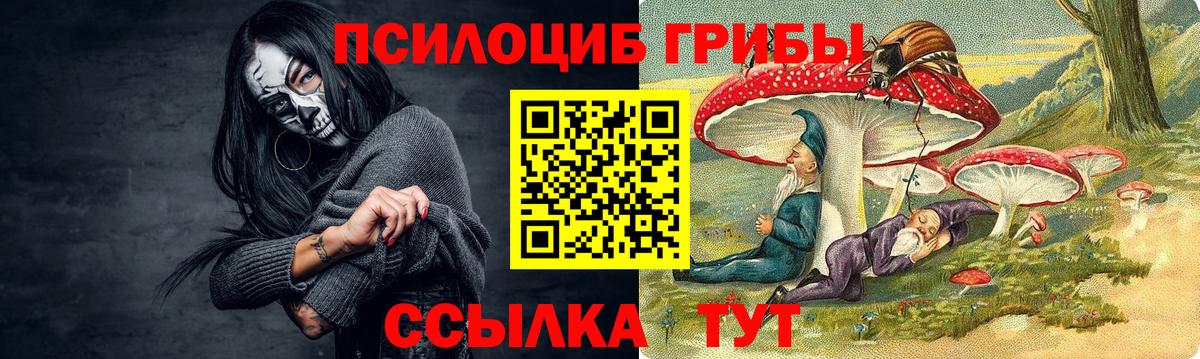 Псилоцибиновые грибы прущие грибы  Псилоцибиновые грибы мухоморы  где продают   Вход с VPN  Северск 